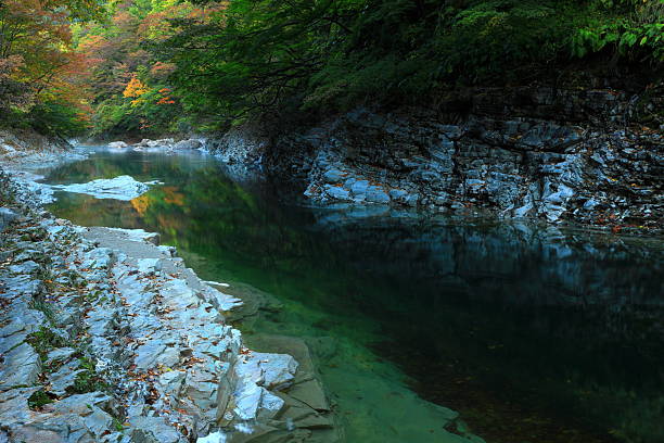 istock Autumn leaves scenery 2255460544