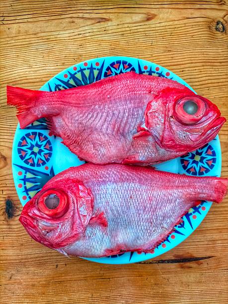 Two scorpionfish ready to be cooked