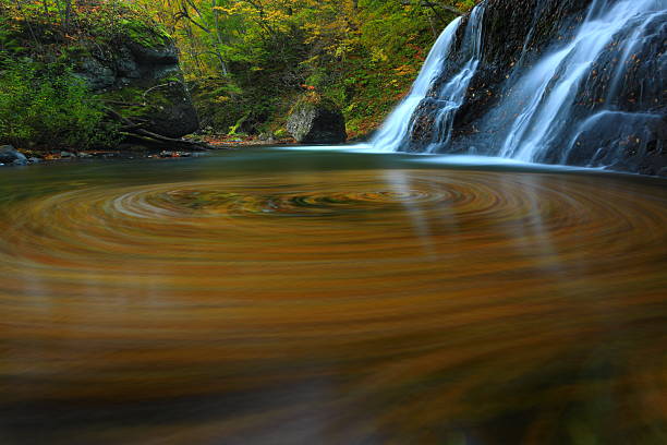 istock Autumn leaves scenery 2255460851