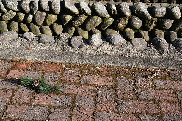 A brick walkway with a stone wall on the side. A small pine tree is on the ground near the wall