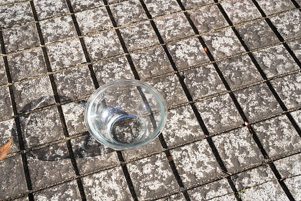 A glass bowl is sitting on a tiled floor. The bowl is empty and has a shadow on it