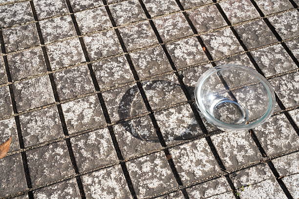 A glass bowl is sitting on a tiled floor. The bowl is empty and has a shadow on the ground