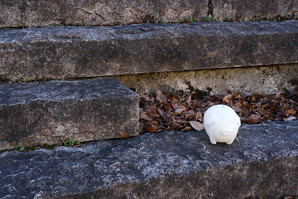 A white pig statue is sitting on a stone staircase. The statue is small and white, and it is placed on the steps of a stone staircase. The scene is quiet and peaceful