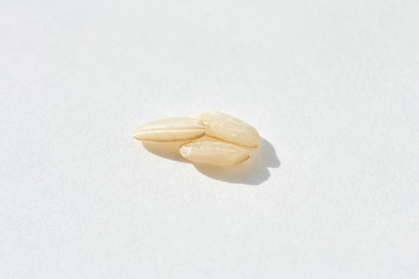 Close up of three fresh white rice grains on a bright background.