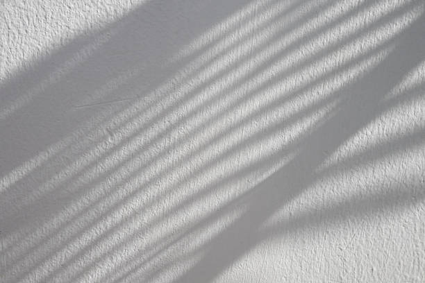 istock Abstract natural tree branch leaves shadow on white wall background 2255465584