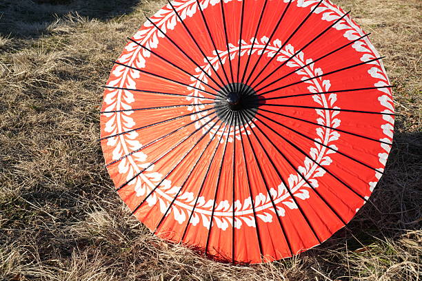 Japanese umbrella & cherry Blossoms 