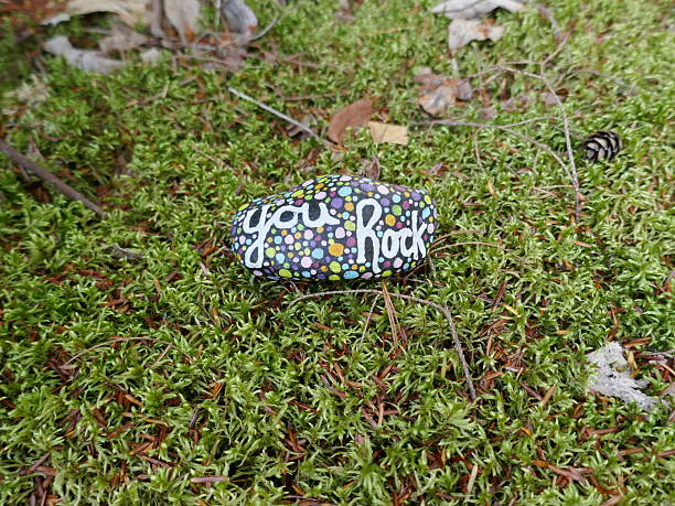 istock Moss with you rock kindness rock and pine needles 2255468484