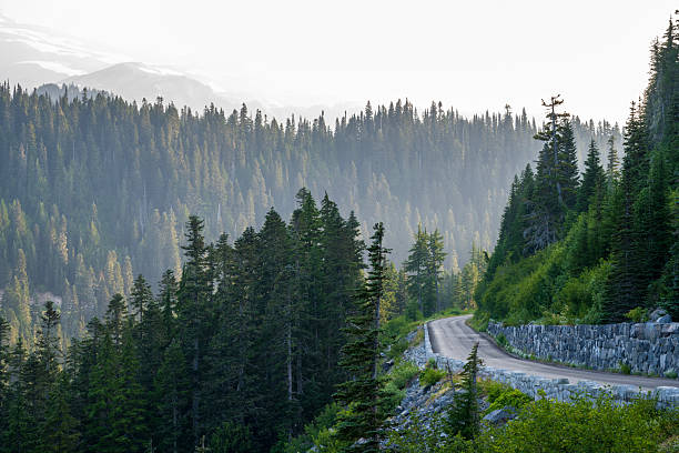 Highway inside Mt Rainier National Park, Washington, USA