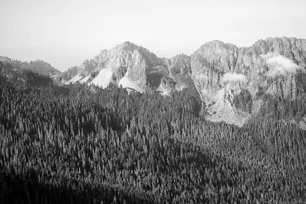 istock Scenic mountains in Mt Rainier National Park 2255469881