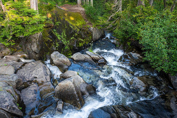 Waterfalls in Mt Rainier National Park, Washington, USA