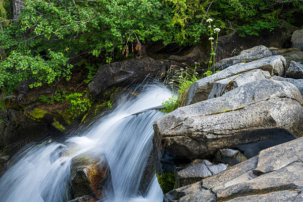 Waterfalls in Mt Rainier National Park, Washington, USA