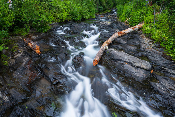 Waterfalls in Mt Rainier National Park, Washington, USA