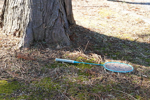 A tennis racket is laying on the ground next to a tree. The racket is blue and green