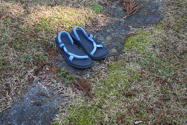 Two flip flops are laying on the ground in a grassy area. The shoes are blue and black and appear to be old. The scene is peaceful and calm, with the grass and dirt providing a natural setting