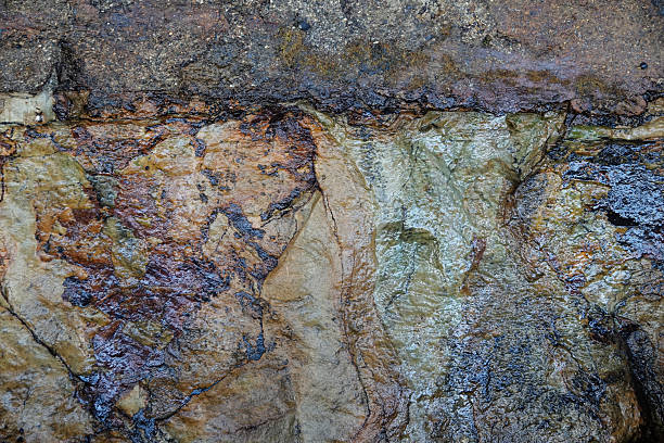 Wet rock layers glisten with colour and texture