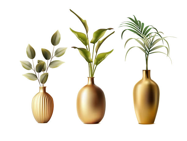 realistic vector icon illustration. Set of plants in golden vases in different shape.