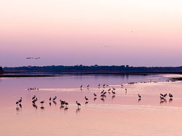 istock The red sunset over the lake 2255480227