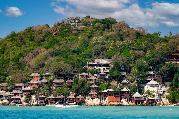 Hillside covered in palm trees with traditional wooden houses on a beautiful bay with turquoise waters in Thailand
