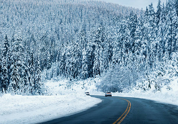Two vehicles navigate a gently curving, two-lane highway that cuts through a vast conifer forest buried in fresh snow. Towering evergreens stand heavy with white powder, stretching up the mountainside and creating a towering, textured backdrop. The dark asphalt and double-yellow centerline contrast sharply with the pristine surroundings, emphasizing the solitude and beauty of winter travel through a remote alpine landscape.