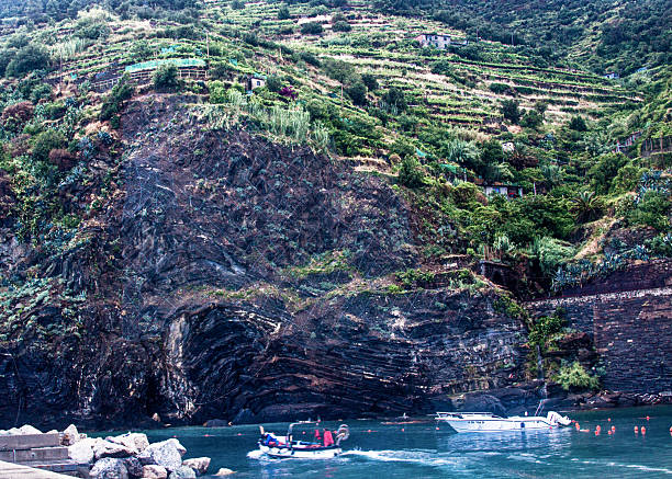 Sailing boat seen between pine trees: perfect Mediterranean holidays.