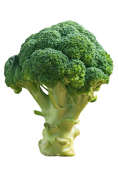 Fresh Green Broccoli Head, Healthy Organic Vegetable, Isolated on Clipping Path