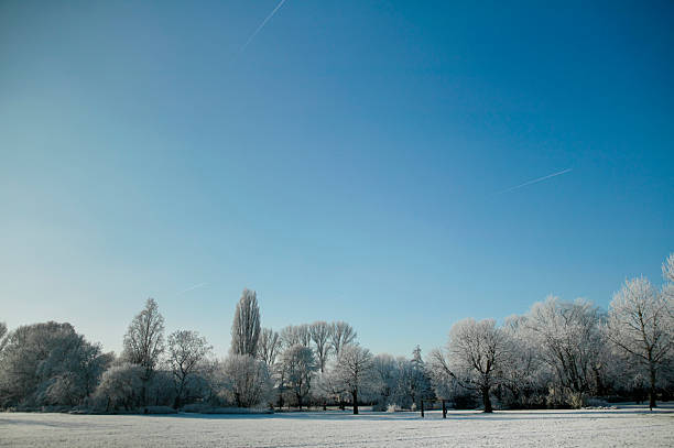 Winter landscape with snow and frost.