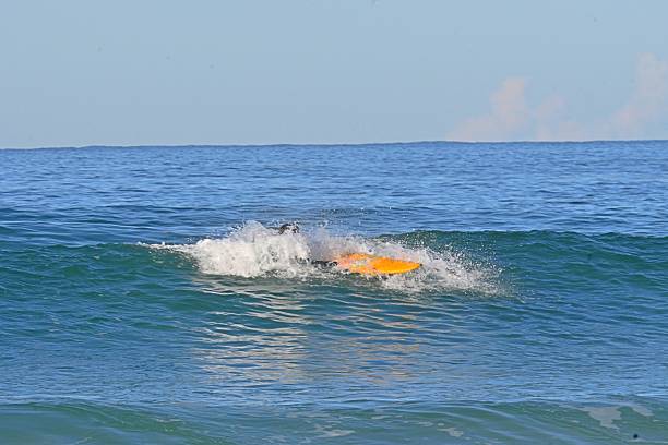 A surfing scene in the Atlantic Ocean with clear water and beautiful, well-formed waves. Shots representing the dynamics of water sports, the power of the ocean and the feeling of freedom and connection with nature. Suitable for topics such as active lifestyle, travel, adventure and ocean environment.