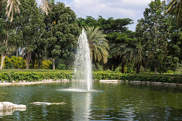 botanic garden fountain
