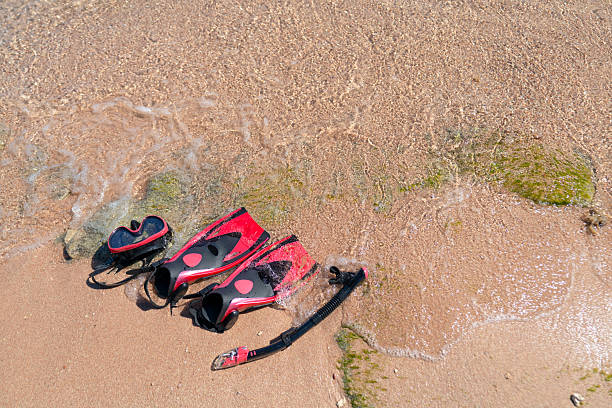 Snorkeling set: red and black fins, diving mask, and snorkel lying on sand at the water's edge.