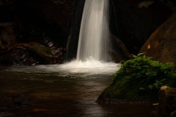 A serene forest stream flowing through dense tropical greenery along the trail to Yana Caves in Karnataka, India. The small cascading waterfall, moss-covered rocks, and filtered sunlight create a peaceful natural scene representing freshness, tranquility, eco-travel, wilderness, and connection with nature.