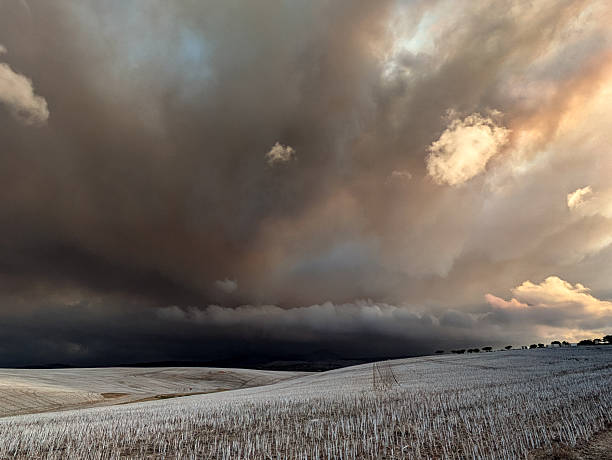 Thick black smoke from a wildfire mixes with cloud over a farmer's canola field in the Overberg region of South Africa.