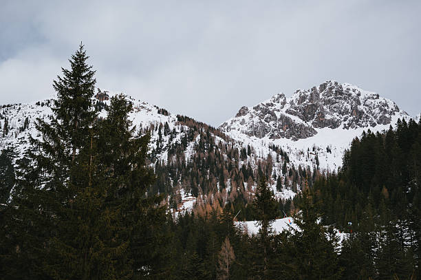 Nassfeld SKi resort, Austrian Alps. Snowboarding / Skiing concept.