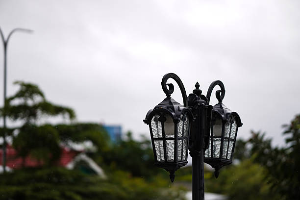 road light under dusk sky