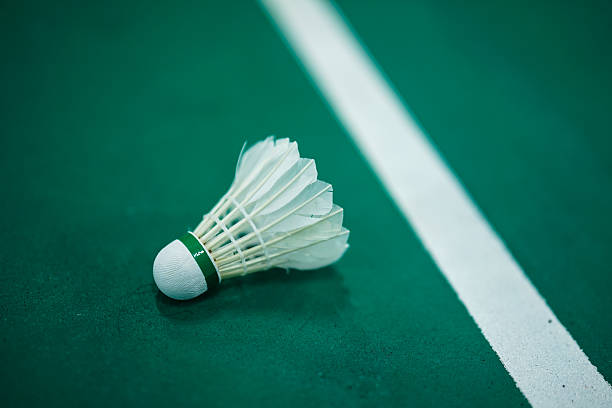 istock White Shuttlecock on Green Badminton Court 2255512088