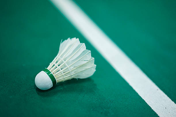 istock White Shuttlecock on Green Badminton Court 2255512095