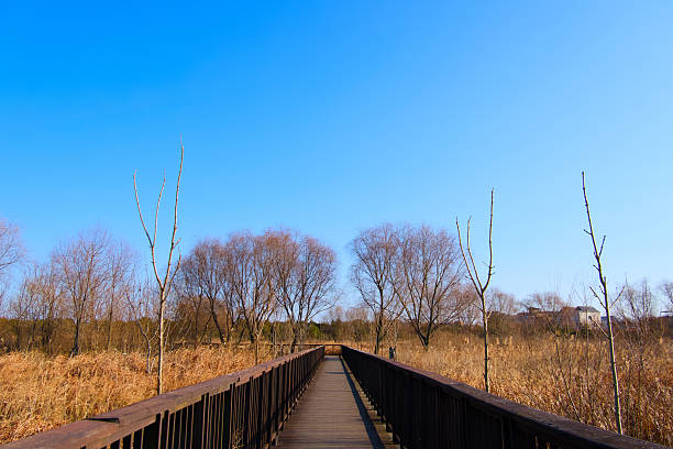 A view of a park on a clear winter day