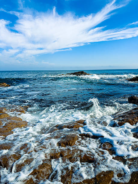 Waves roll over rocks at the shoreline as the sun shines brightly. The sea stretches far into the distance with a few clouds in the sky during midday.