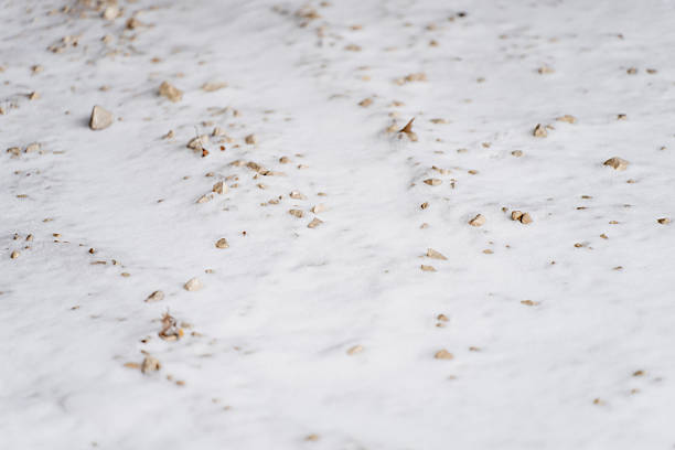 Snow covered ground surface with scattered small stones and gravel creating natural winter texture suitable for background use and minimal outdoor environment detail