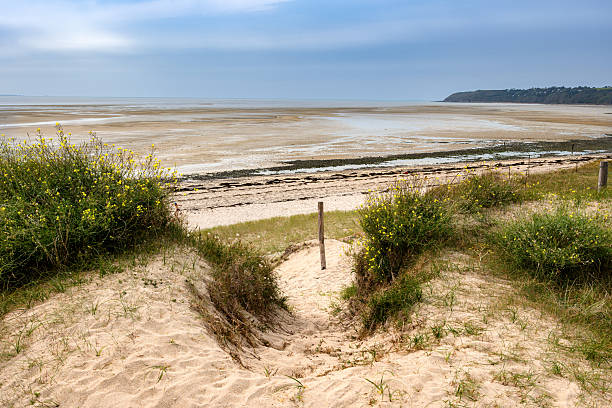 Wooden posts line the sandy beach at sunset, waves gently lapping. Serene ocean landscape with a calming sky.