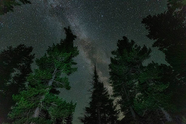 istock The Milky Way in the sky. View from below through the trees. 2255522325