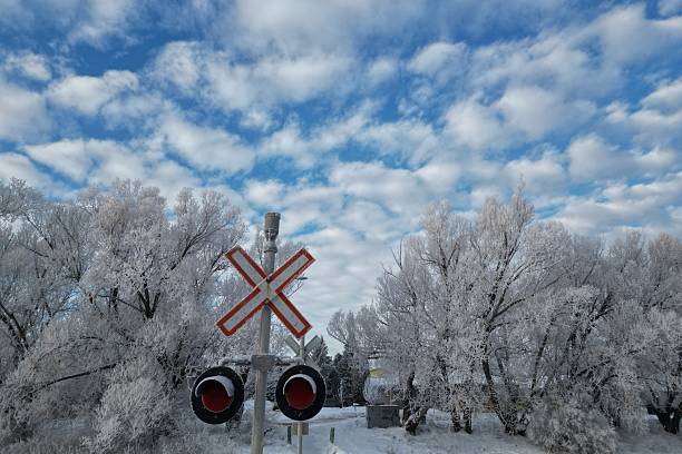 traffic light covered with snow railway in winter