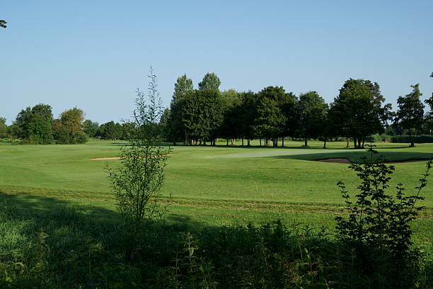 This photograph showcases a vibrant green field stretching into the distance under a bright sky. The scene evokes a sense of tranquility and rural beauty, typical of the German countryside.