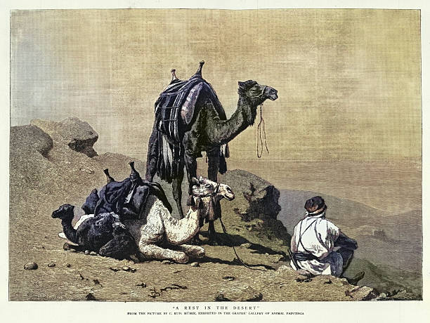 Explorer, Man with camels, Rest in the desert, Victorian art, Vintage illustration, 19th Century 1880s, after Carl Rudolf Huber