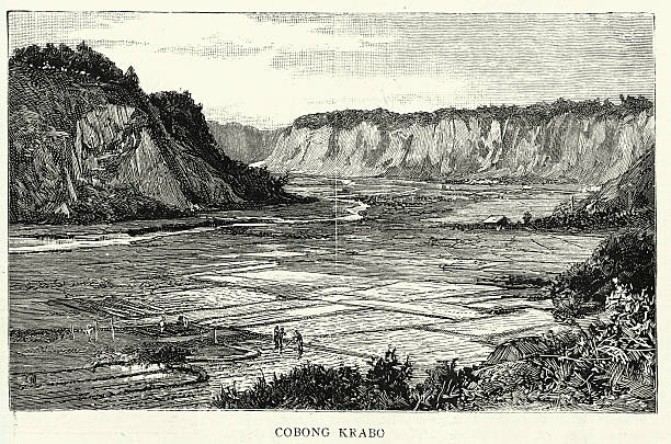 Rice paddy fields, Cobong Krabo, Dutch East Indies Victorian, Vintage illustration, 19th Century 1885