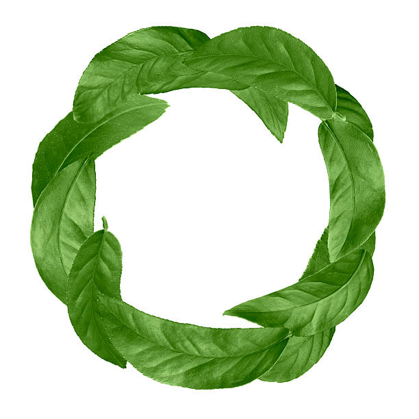 Green pleated first place award badge with blank white center for applying a design to. Prize photographed isolated on a blank white background.