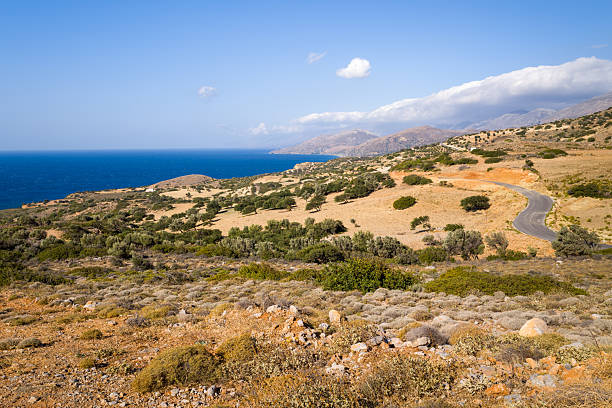 Curving asphalt road cuts through sunbaked, rocky hills dotted with low shrubs and olive trees, overlooking the vivid blue Mediterranean Sea on the southern coast of Crete. Bright daylight enhances the dry textures and open, expansive landscape.