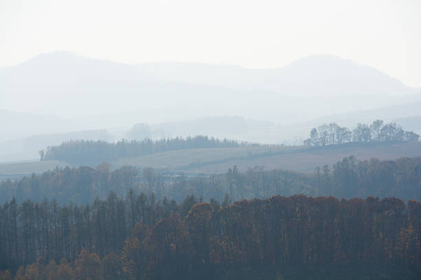 Autumn hills haze after the rain, Autumn landscape with trees and foggy mountains in the background.