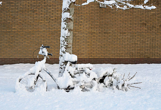 parked bicycle covered in snow with a christmas tree