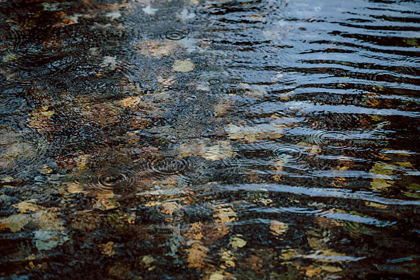 Rippling water with fallen autumn leaves during rainfall, creating a serene seasonal background with natural texture.