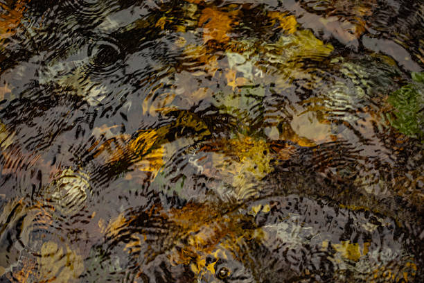 Gold and yellow abstract water picture, South Wales UK.